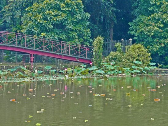 I giardini botanici di Bogor