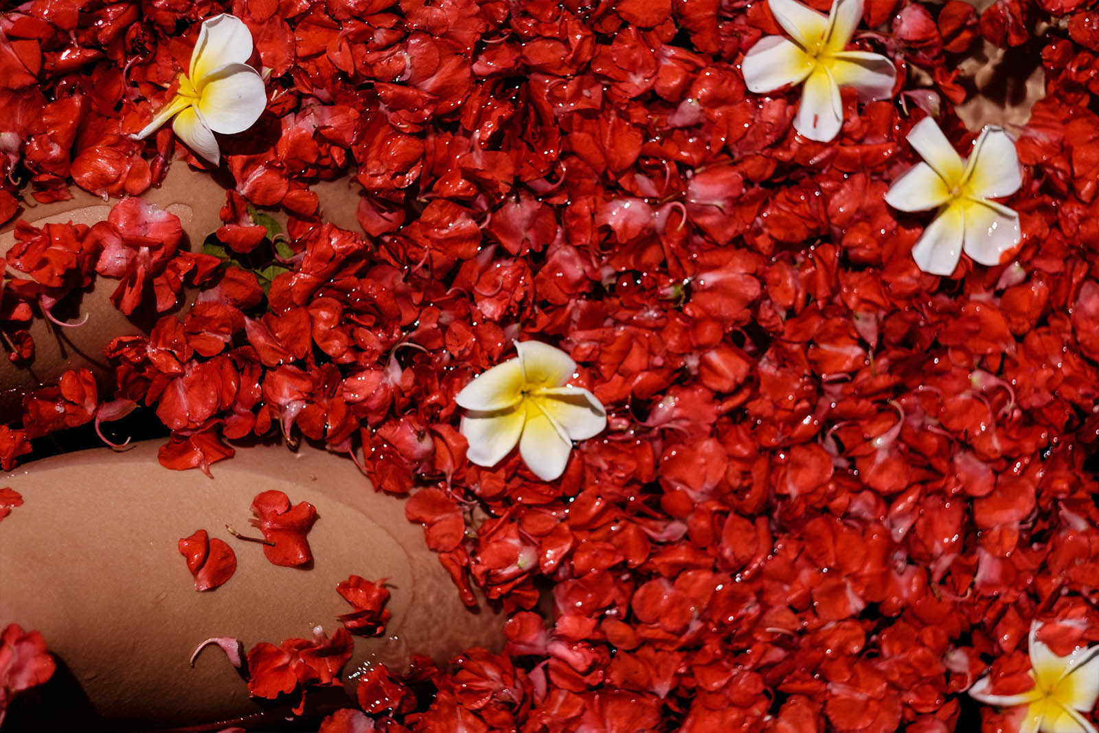 Cosa fare alle isole Gili. Il bagno nei petali di fiori.