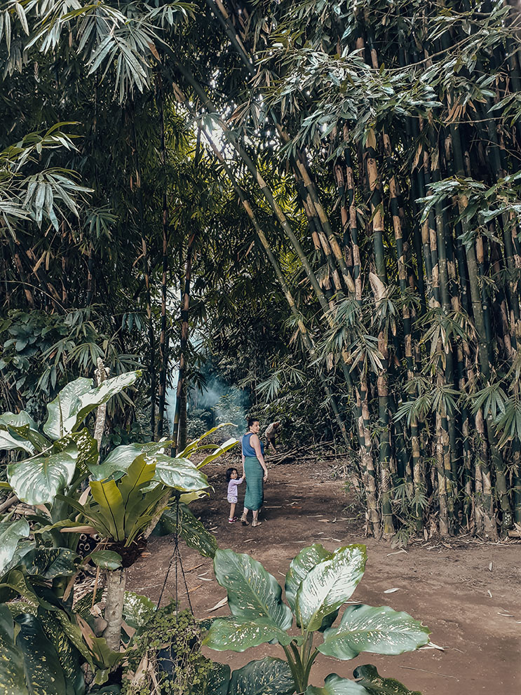 Desa penglipuran. Io e Stella fra i bambù giganti. . 