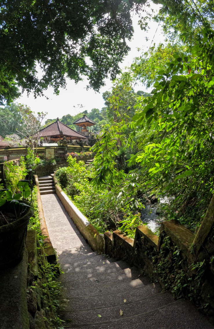 Cosa vedere a Ubud e dintorni: una scalinata fra le fronde verdi di Ubud, ingresso al percorso della Campuhan Ridge Walk.