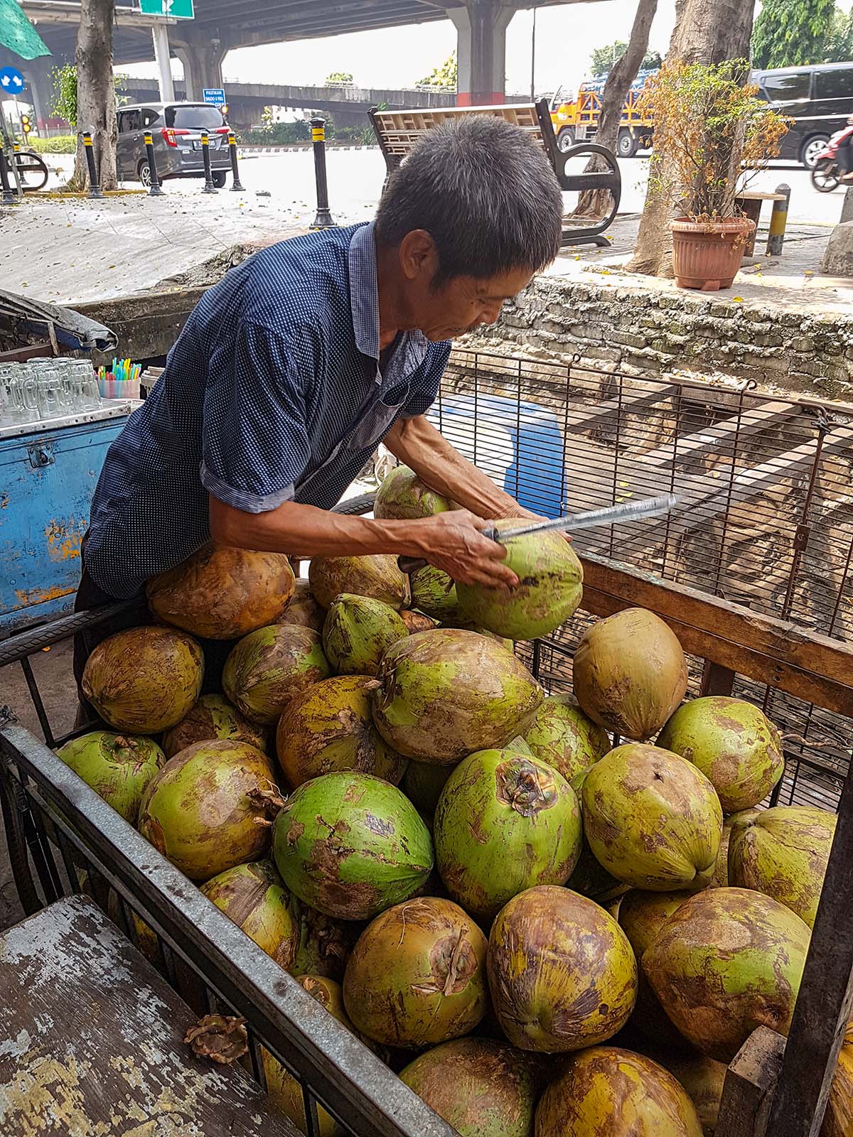Jakarta, vedere e fare: un venditore di cocco