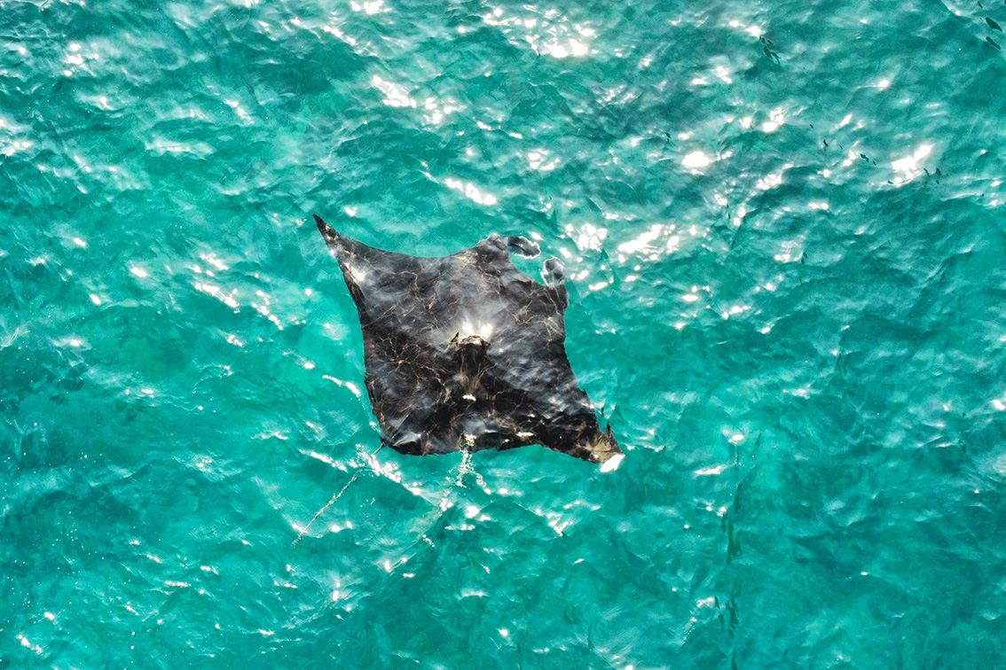  Nusa Penida