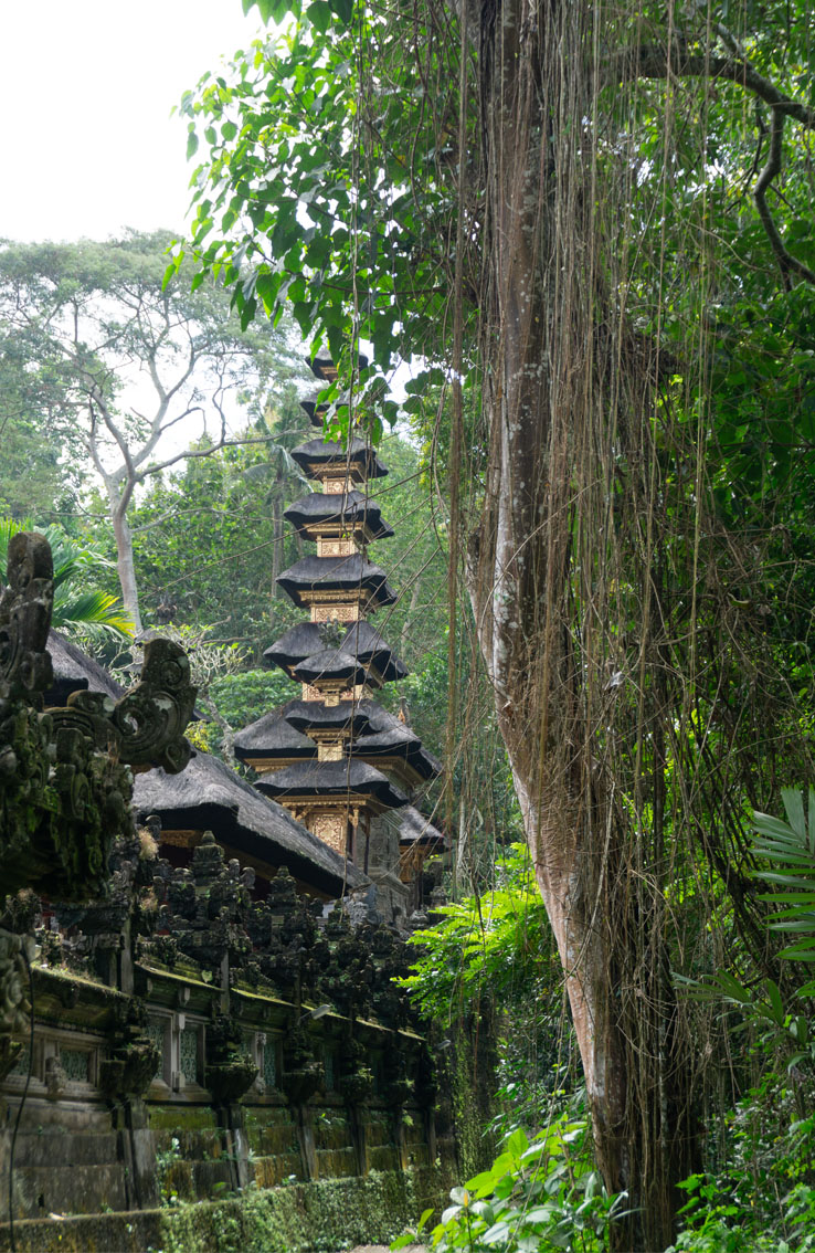 Cosa vedere a Ubud e dintorni: il tempio Pura Gunung Lebah nella foresta di Ubud, a Bali. 